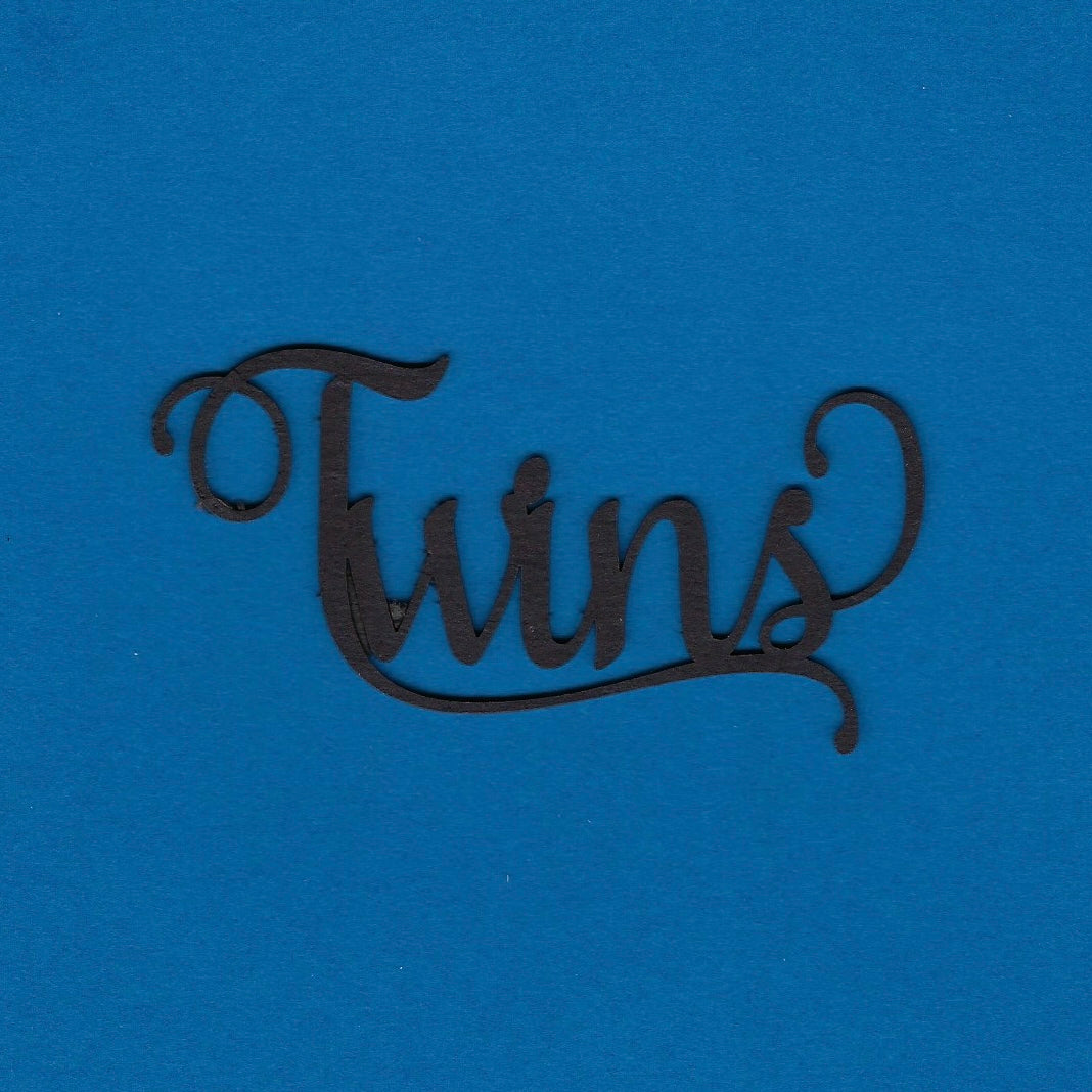 Twins (Title) (Children)