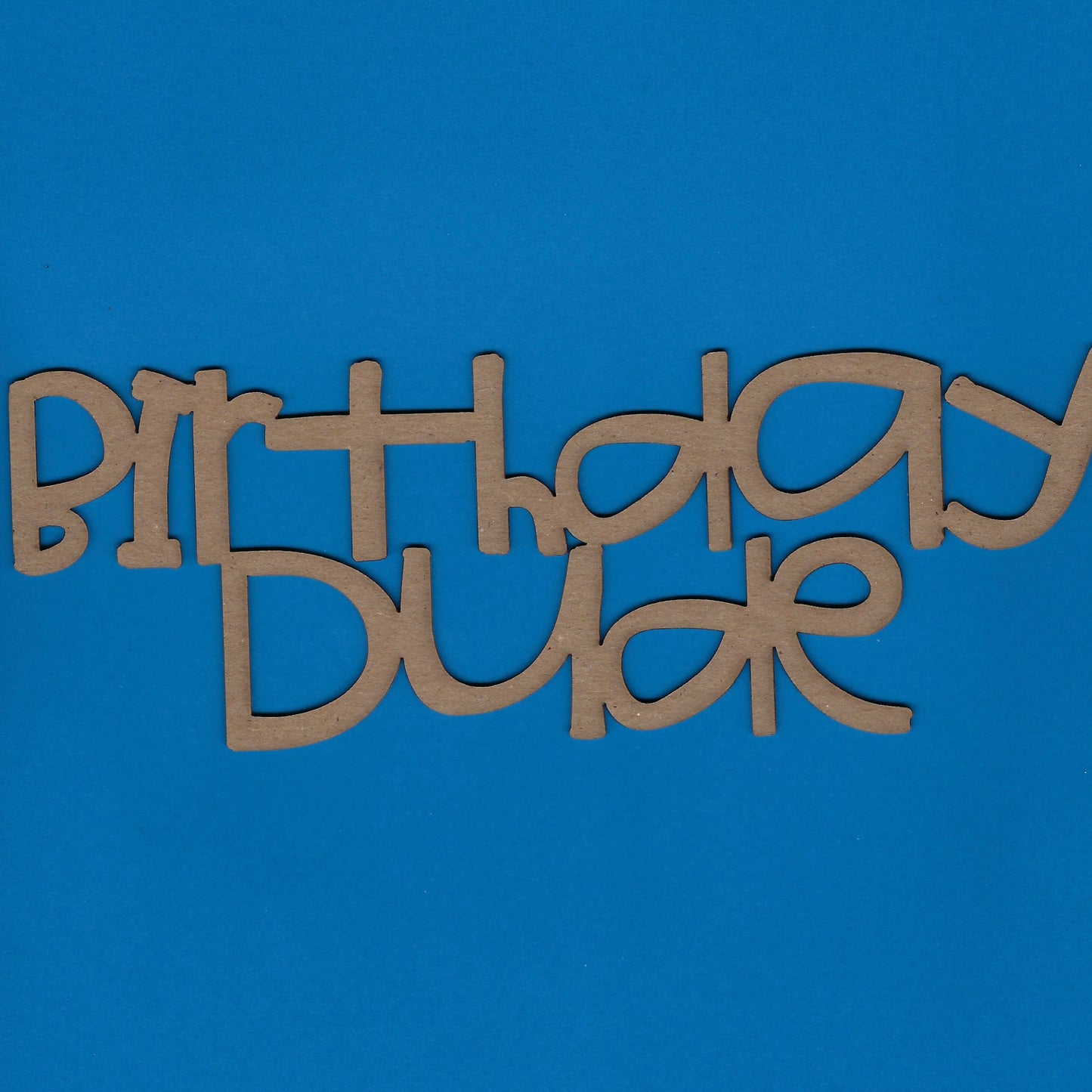 Birthday Dude (Title) (Children)