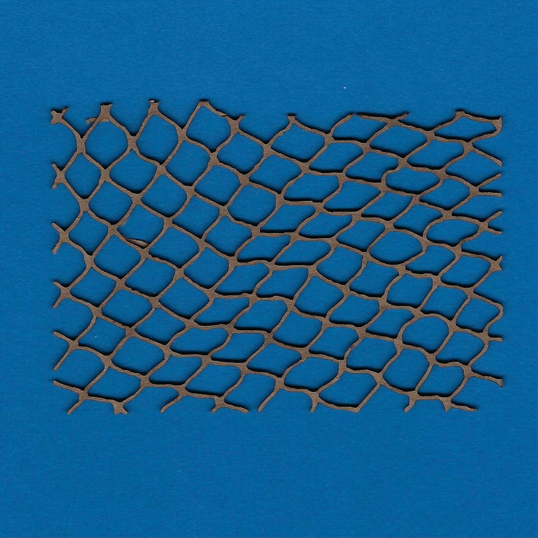 Fishing Net, Casting Net or Beach Net (Outdoors)