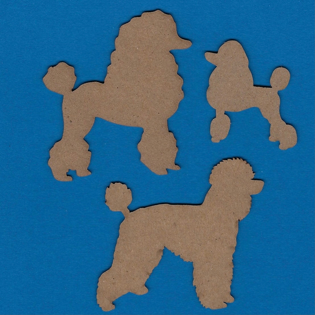 Poodles Dog (Animals)