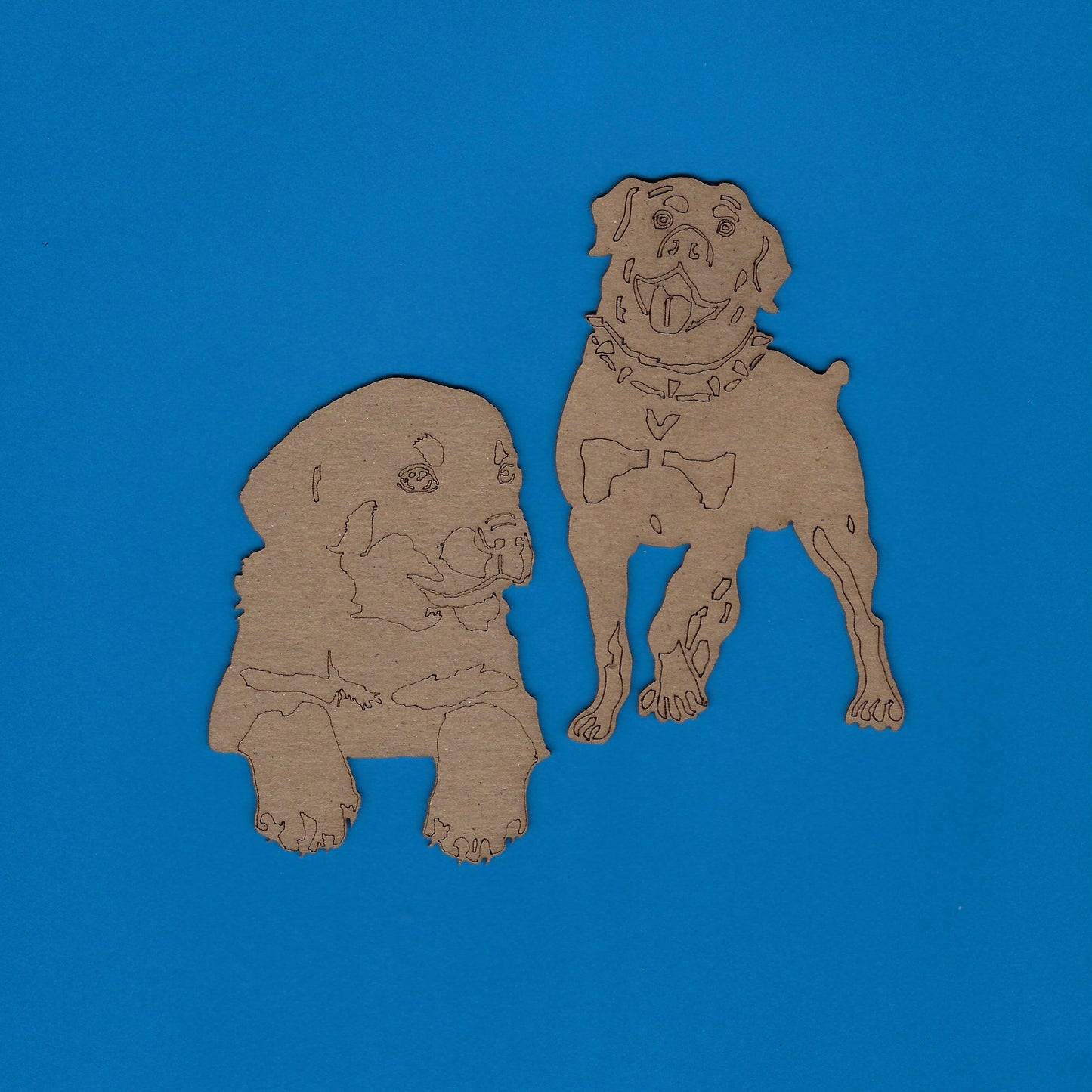Rottweiler Dogs (Animals)