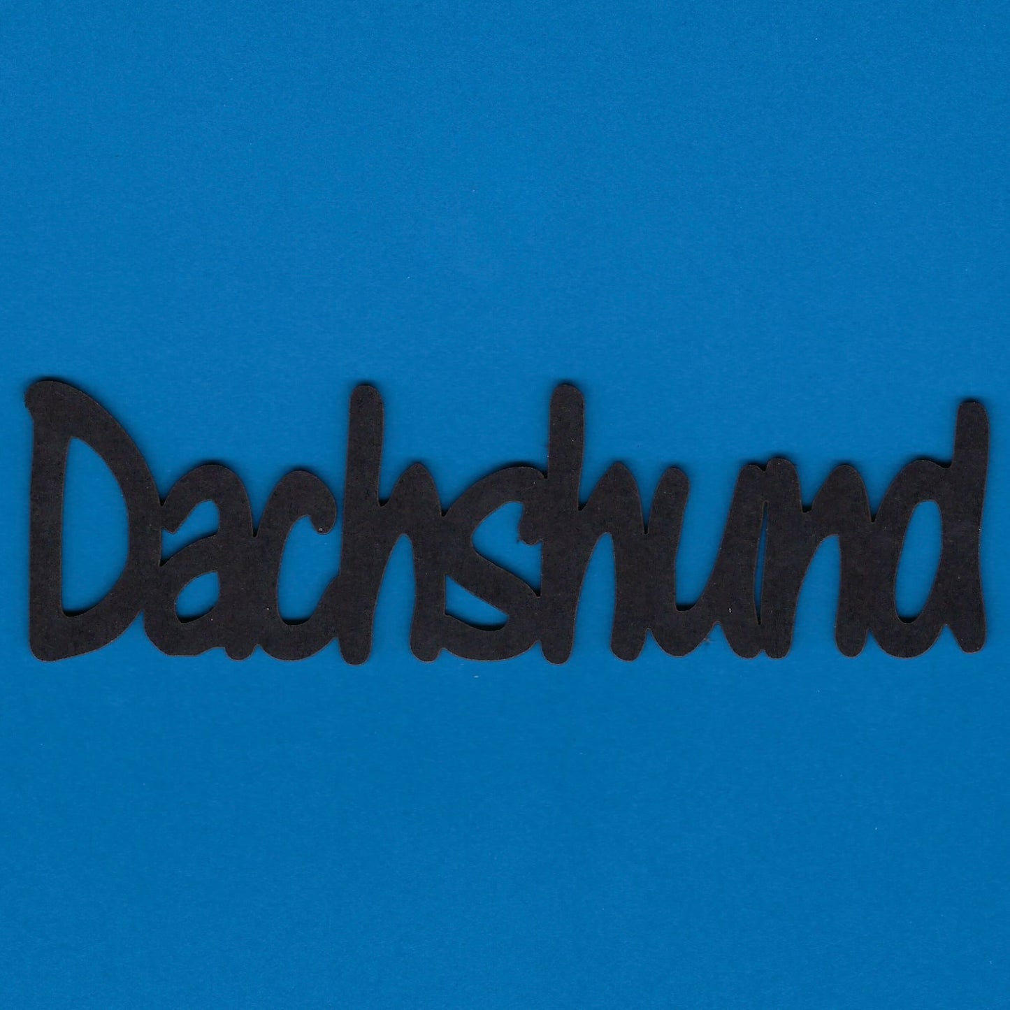Dachshund (Title)