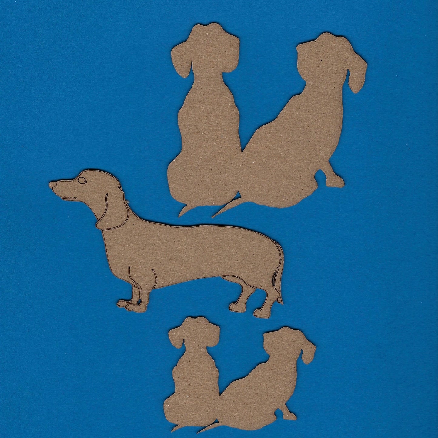 Dachshund Dog (Large, Small)