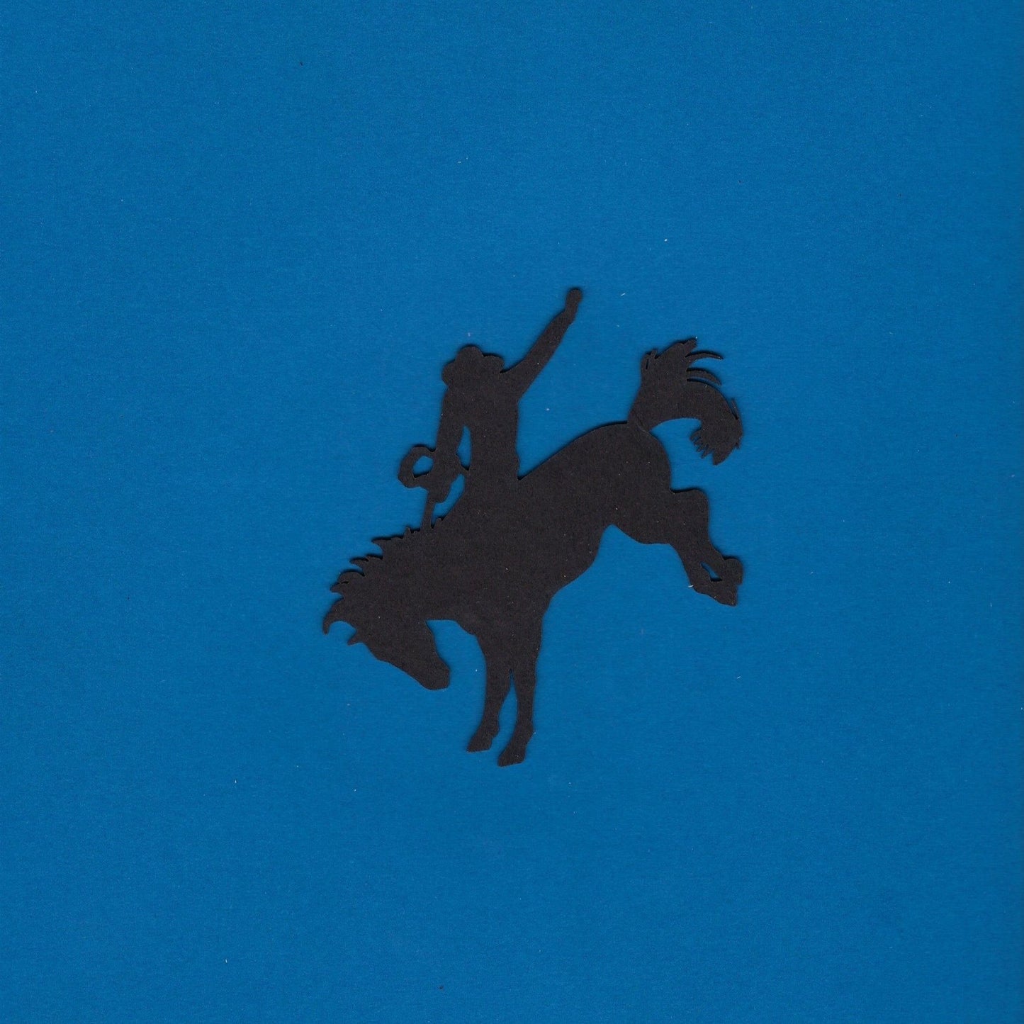 Bareback Riding With Rider (Horse) (Western)