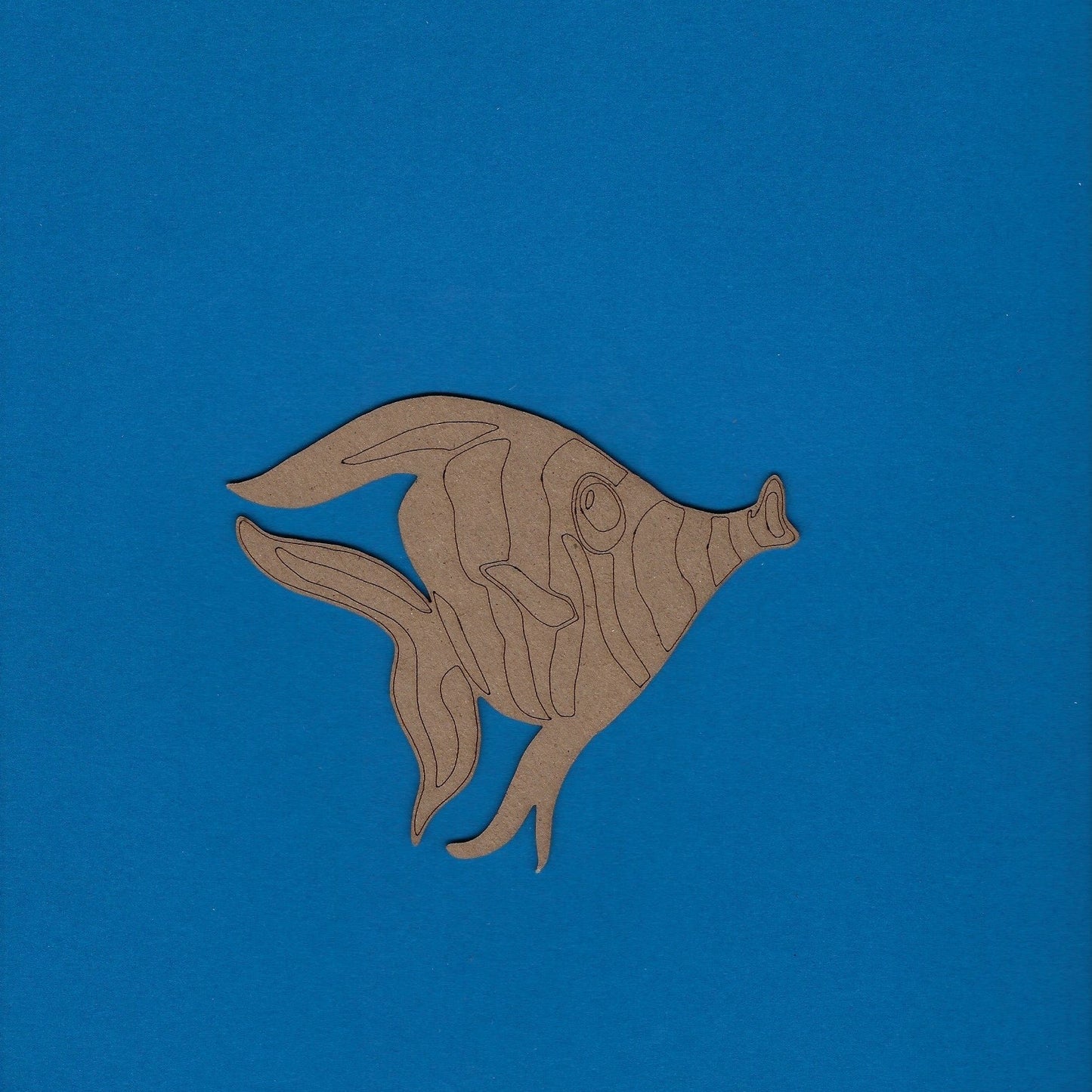 Snout Fish (Fishing) (Tropical)