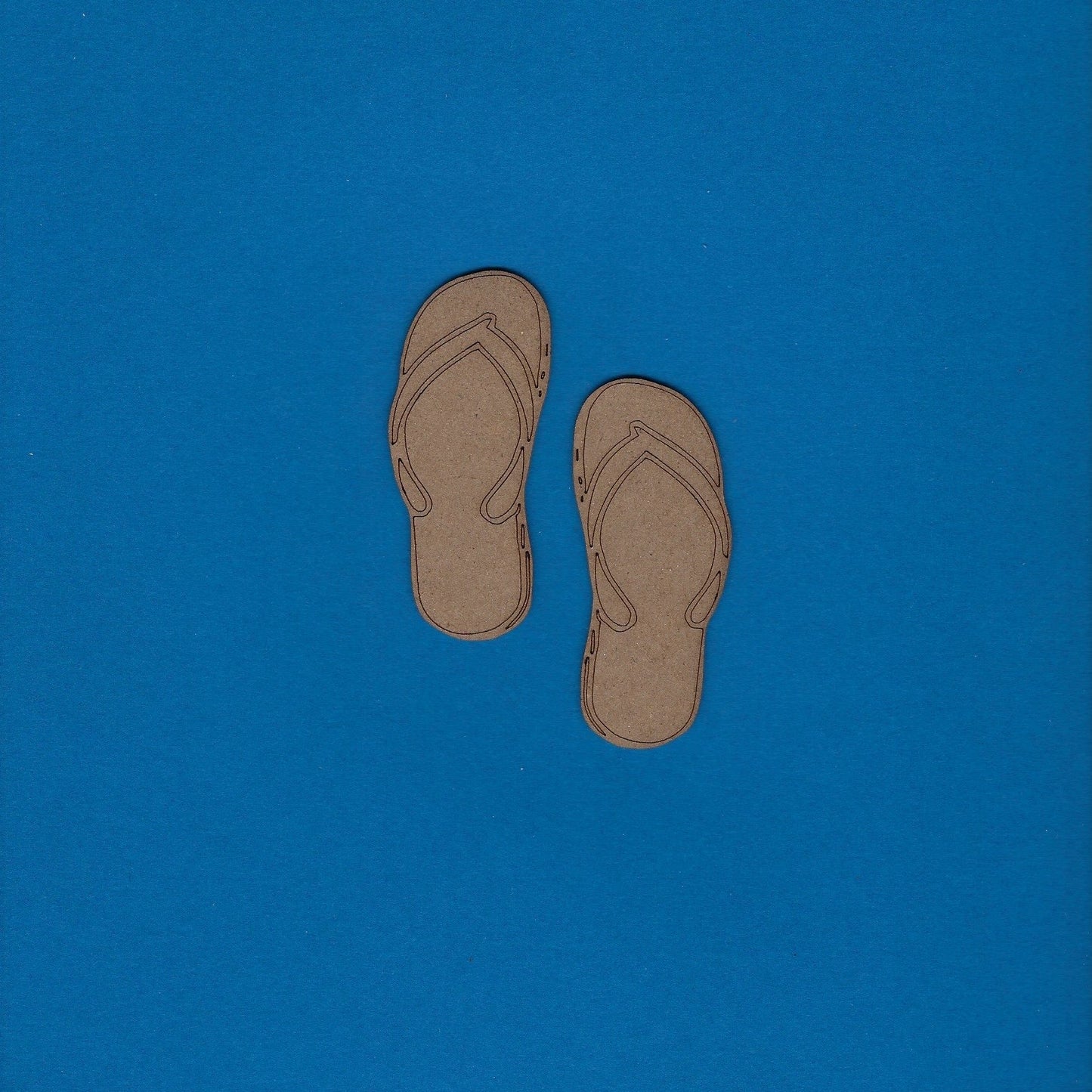 Sandals (Flip Flop) (Shoe) (Beach)