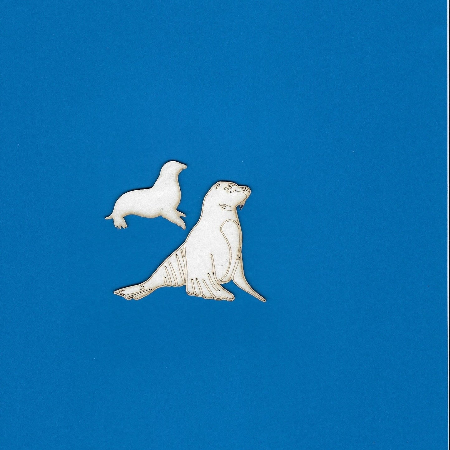Sea Lion