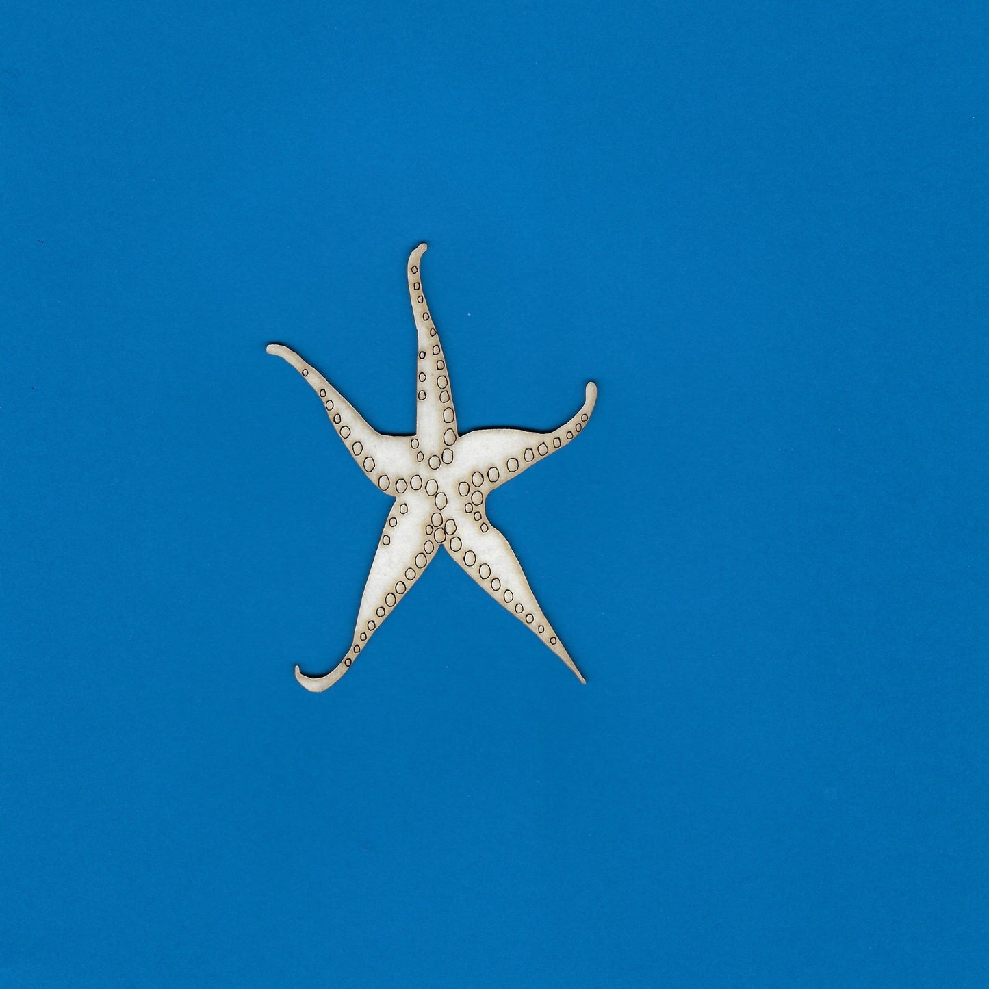 Starfish (Beach) (Animals)