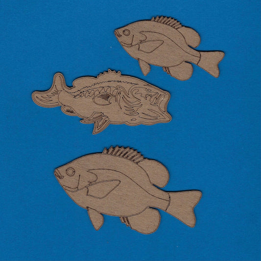 Group of Fish