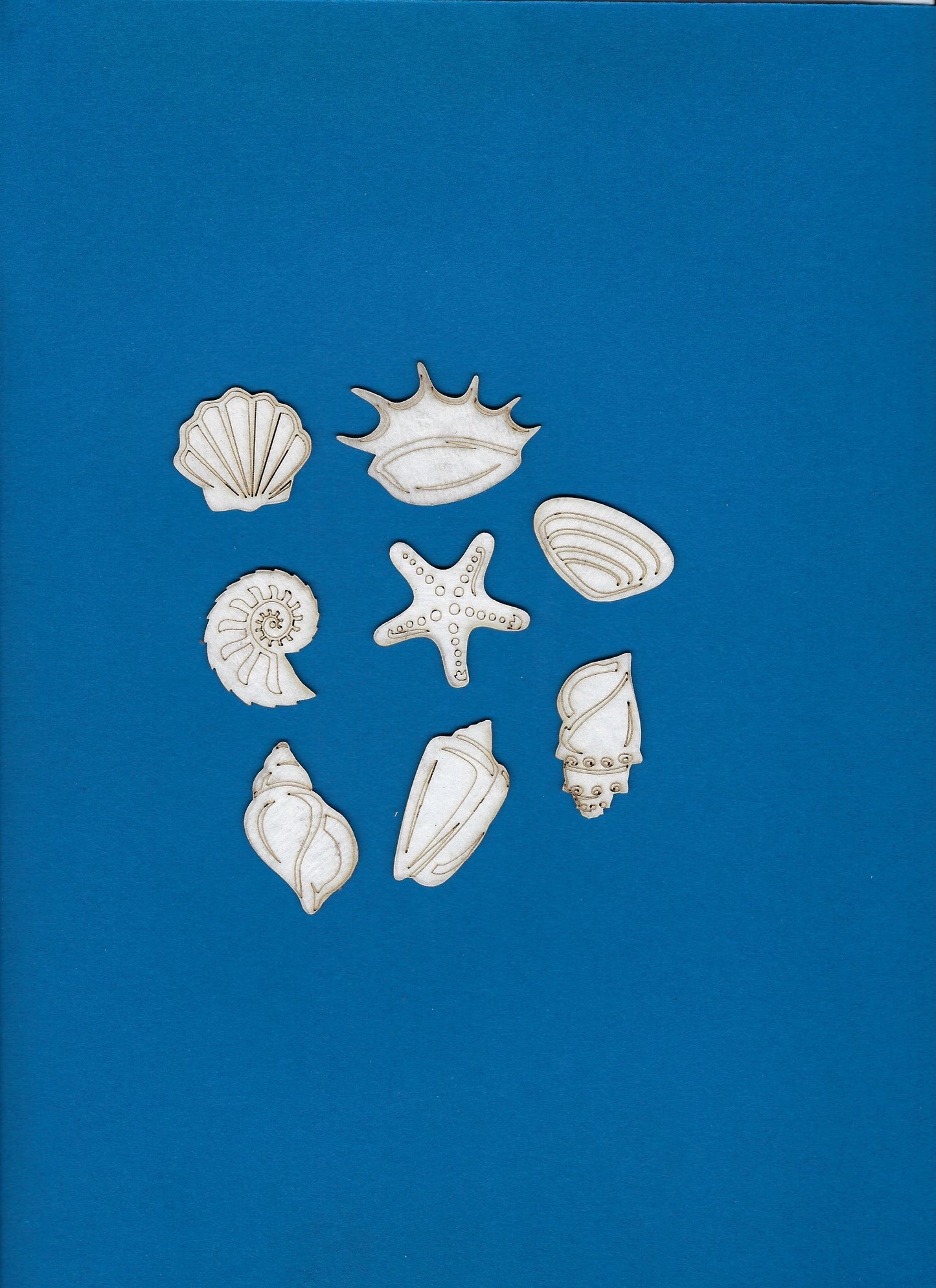 Seashells