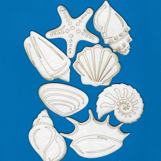 Seashells