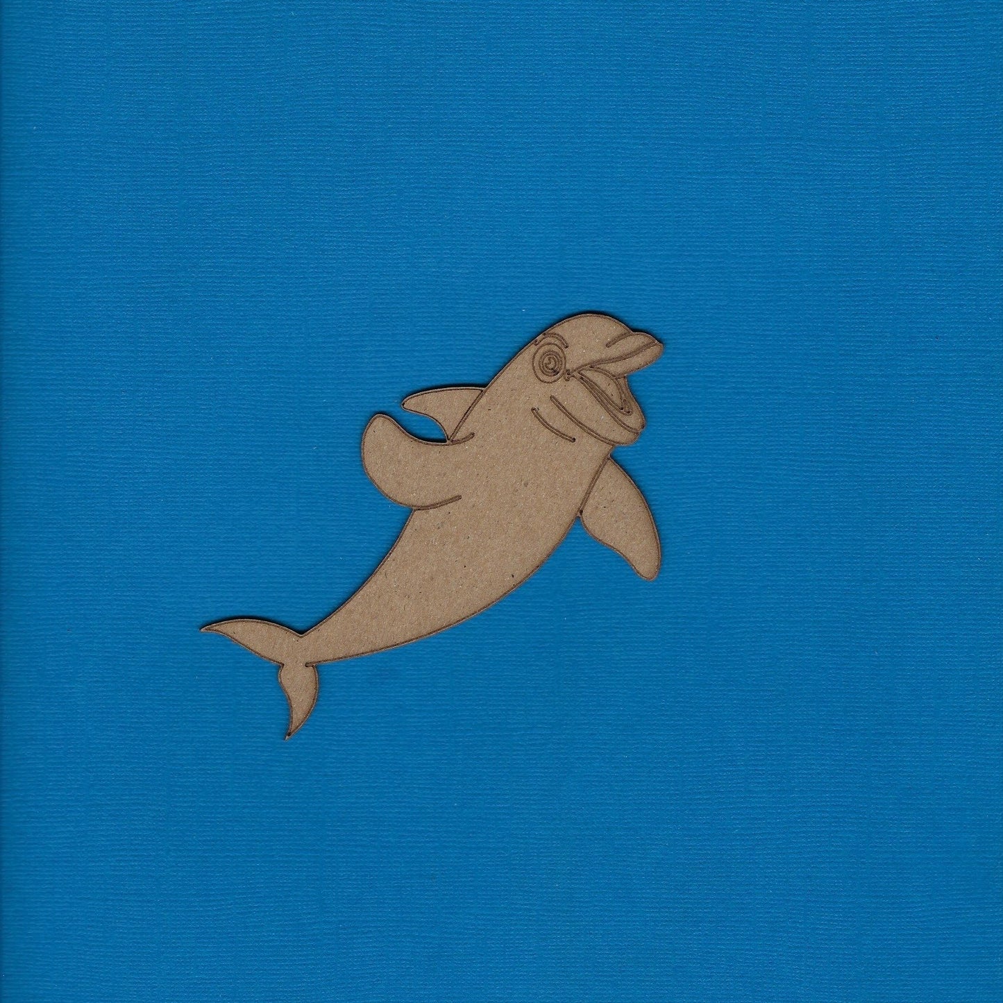 Dolphin