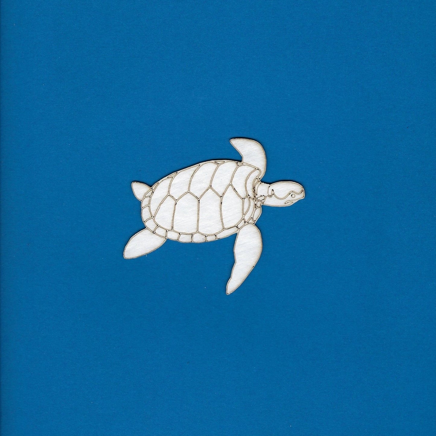 Turtle