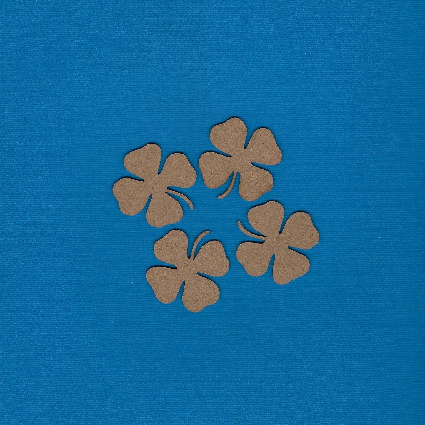 Four Leaf Clovers