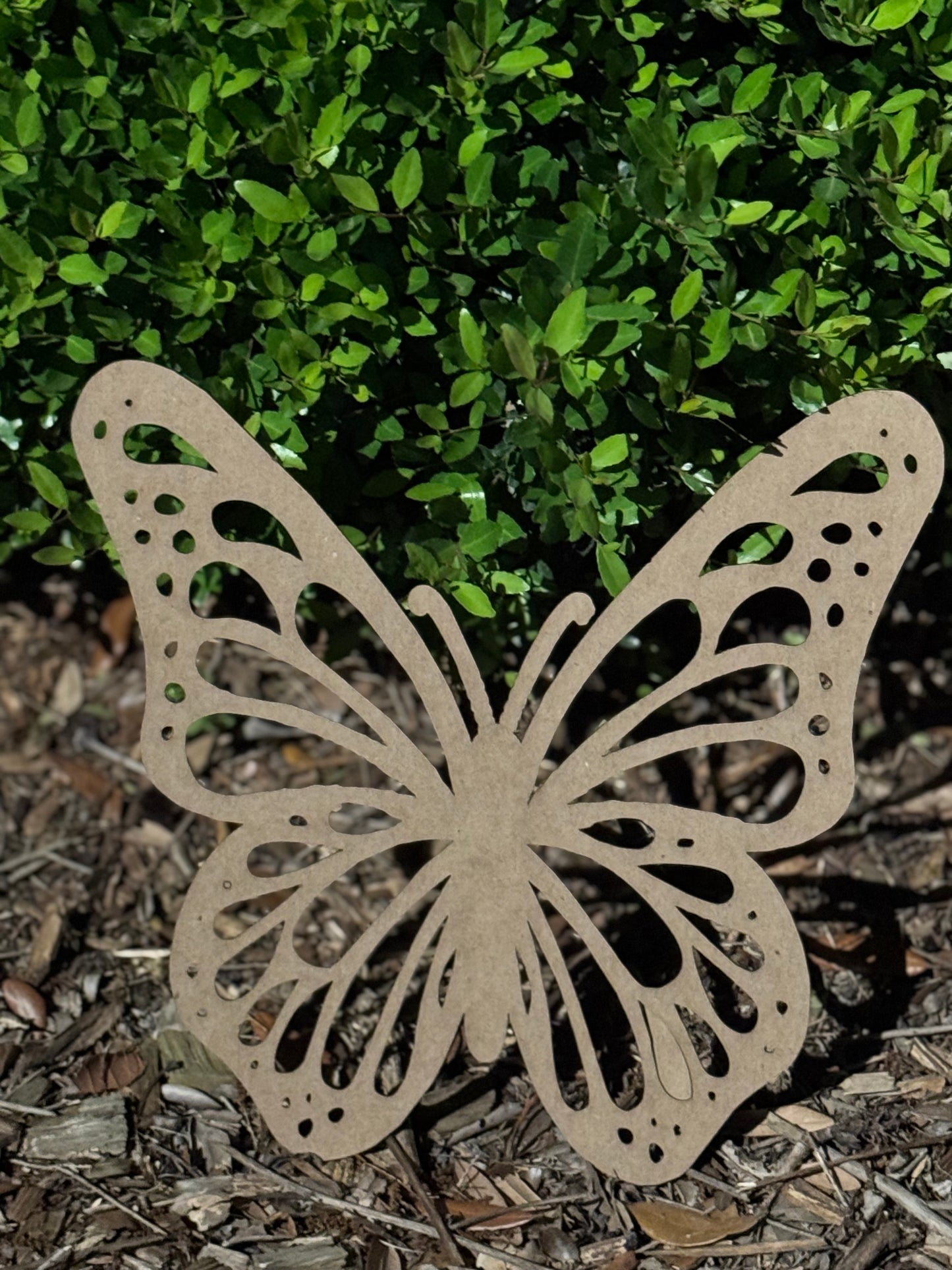 Butterfly (Chipboard)